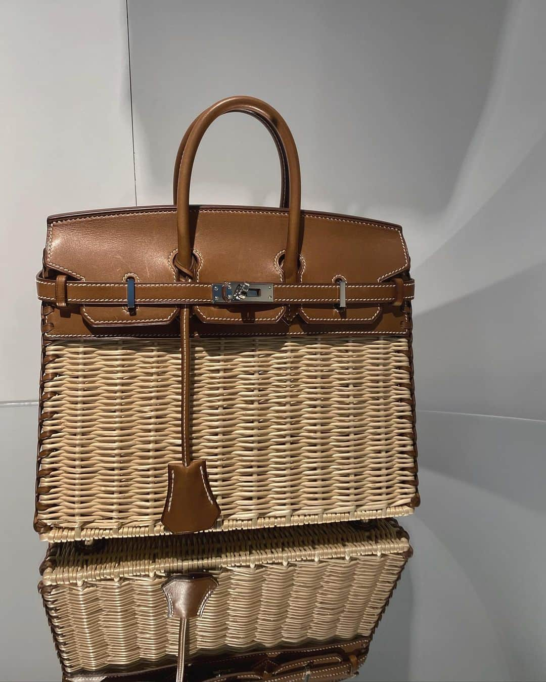 Tamara Kalinicさんのインスタグラム写真 - (Tamara KalinicInstagram)「Picnic season around the corner. Not really but any excuse for this dream @hermes Picnic Birkin #hermesbirkin #hermespicnic」10月16日 1時17分 - tamara