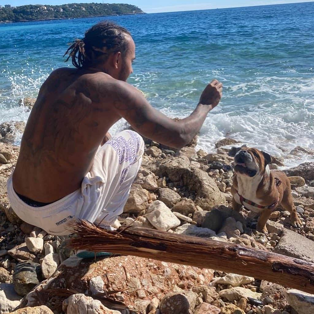 ルイス・ハミルトンさんのインスタグラム写真 - (ルイス・ハミルトンInstagram)「This is Roscoe, I’ve had him for 8 years now. He loves to travel, he loves sticks, loves basketball and football. He ate normal dog food all of his life, as well as food with meat in it. His breathing has always been bad, which meant he was never able to walk very far and his joints would hurt. He also had skin allergies. 3 months ago, I decided to transition him to a vegan diet. It has changed his life. He now doesn’t have any breathing issues, his throat is no longer restricted, and he doesn’t overheat like he did before and he loves to run. He also has no allergy issues. He’s like a puppy again! It’s been amazing to see these changes in Roscoe and I’m so grateful to be able to share this. That said, I always recommend consulting with your vet before making any changes to your pet’s diet to ensure their nutritional needs are being met – which is the most important thing.」10月16日 1時32分 - lewishamilton