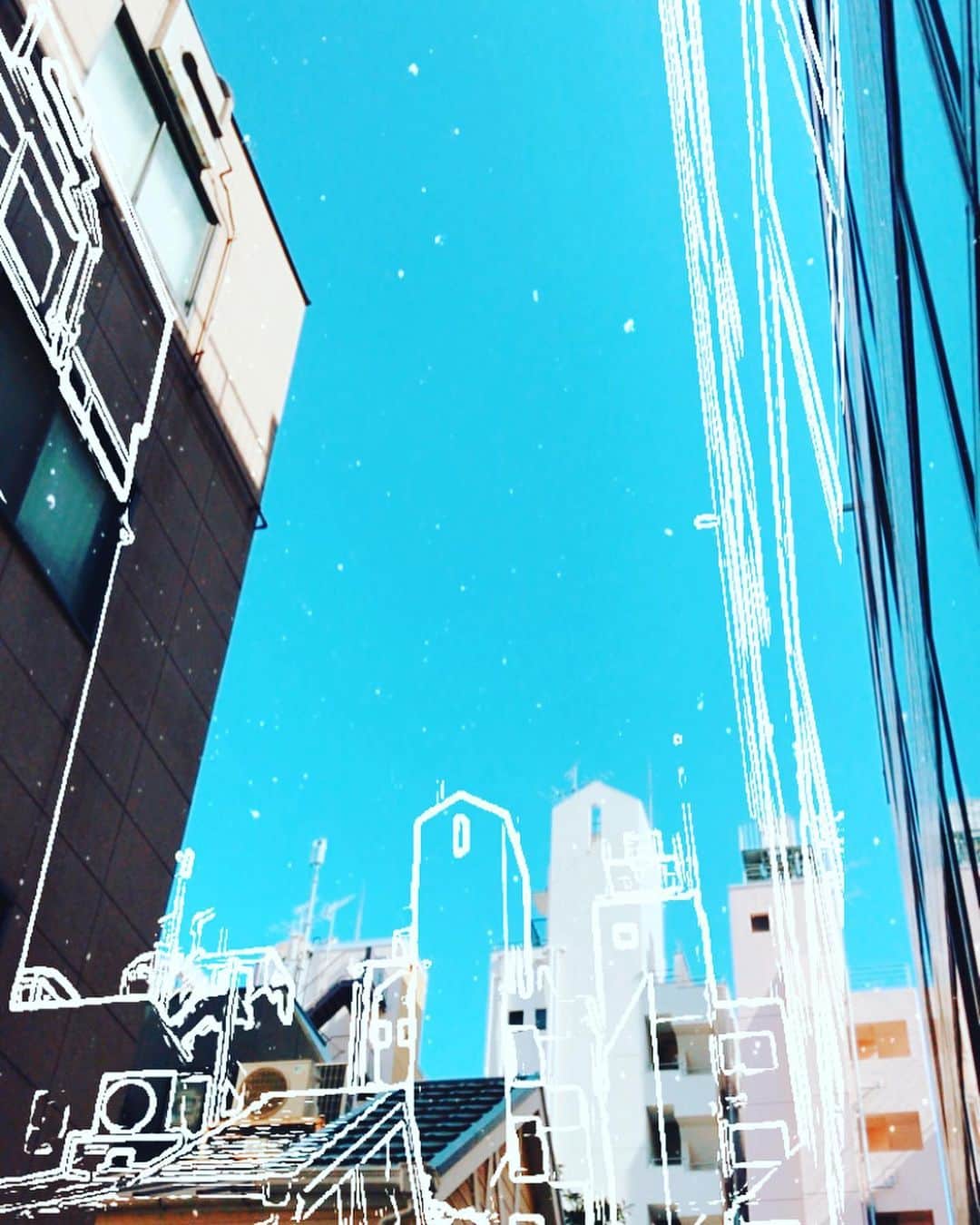 魚金のインスタグラム