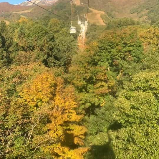 のインスタグラム：「THE DAY 紅葉見に行こうよう！  Filmed by Keina Posted by Aya  #でっかい秋みつけた#もみじがり#栂池自然園#タイムラプス神#栂池それいけ皆いけ#紅葉#北アルプス#乗ってるだけでキレイ#スタッフも羨む日#今日のお客様大当たりですー#アミダス#稜線くっきり」