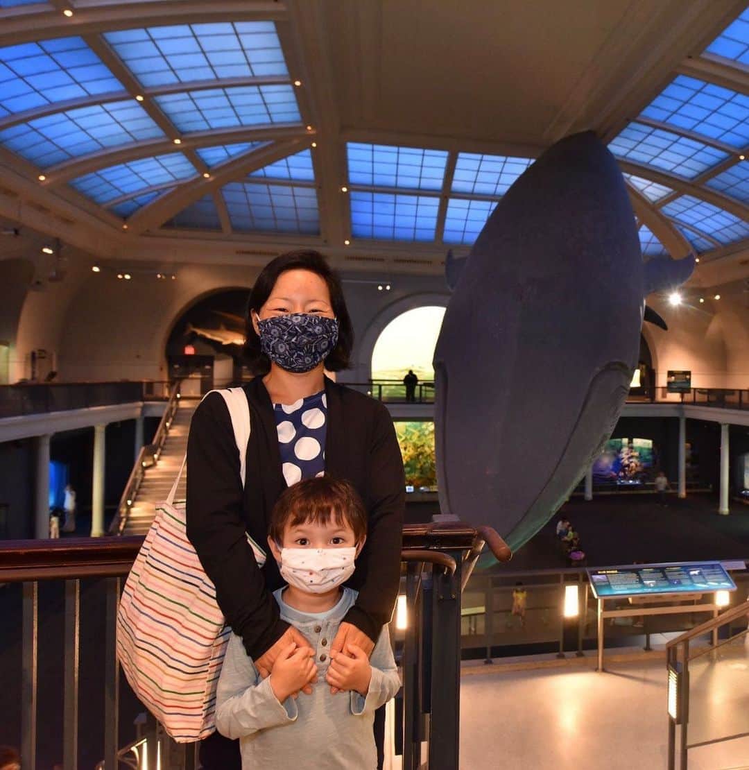 アメリカ自然史博物館さんのインスタグラム写真 - (アメリカ自然史博物館Instagram)「Did you know? The blue whale is the largest animal on Earth.🐋 In fact, this mammal is the biggest animal ever known to have existed. It's even bigger than the enormous dinosaurs that lived over 65 million years ago! You can get a sense for the sheer size of this colossal animal in the Museum’s Hall of Ocean Life. The 94-foot-long-, 21,000-pound- model is crafted from foam and fiberglass—and is suspended by a single steel pipe, connected to structures hidden in both the model and the ceiling. When was the last time you stood under the blue whale? 🤩 The Museum is open from Wednesday through Sunday; plan a visit with the #linkinbio.  Photo: D. Finnin/ © AMNH」10月16日 11時34分 - amnh