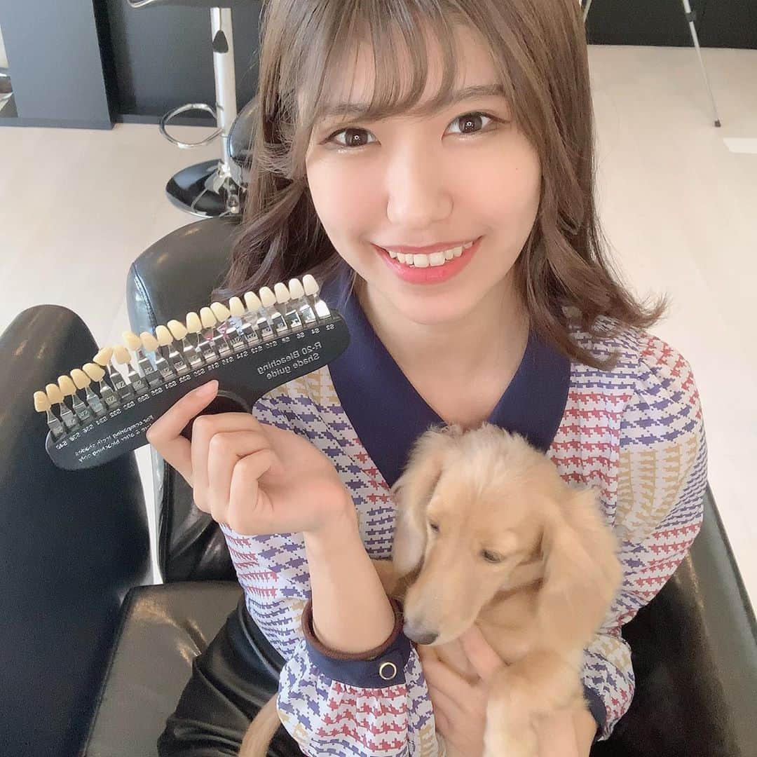 脇田璃奈のインスタグラム：「セフルホワイトニングサロン LaLaに行ってきたよ🦷 歯が白いだけでちょっと可愛くなれた気がする🐼 簡単だしすぐ終わるし、何より白くなるのでみんなも是非行ってみてね！ (あとワンちゃんの脚が短くて可愛い) . . . #ホワイトニング」