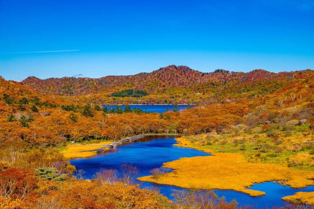 THE GATEのインスタグラム：「【 Lake Onuma// #Gumma 】 Lake Onuma locates in the city of Maebashi in Gunma prefecture. The caldera lake rests on the top of Mount Akagi, and is stunning throughout the year.  l The fall season is especially beautiful, when the leaves begin to change colors. You can enjoy the fall colors by going on a boat around the lake. In the winter, the lake is completely frozen, and you can go wakasagi (Japanese smelt) fishing.  . ————————————————————————————— ◉Adress Akagisan, Fujimi-machi, Maebashi-shi, Gunma ————————————————————————————— Follow @thegate.japan for daily dose of inspiration from Japan and for your future travel.  Tag your own photos from your past memories in Japan with #thegatejp to give us permission to repost !  Check more information about Japan. →@thegate.japan . #japanlovers #Japan_photogroup #viewing #Visitjapanphilipines #Visitjapantw #Visitjapanus #Visitjapanfr #Sightseeingjapan #Triptojapan  #粉我 #Instatravelers #Instatravelphotography #Instatravellife #Instagramjapanphoto #autumn #fallleaves #japanesemaple #autumnleaves #단풍 #秋天的樹葉 #秋天的树叶 #hojasdeotoño #ฤดูใบไม้ร่วง  #lakeonuma」