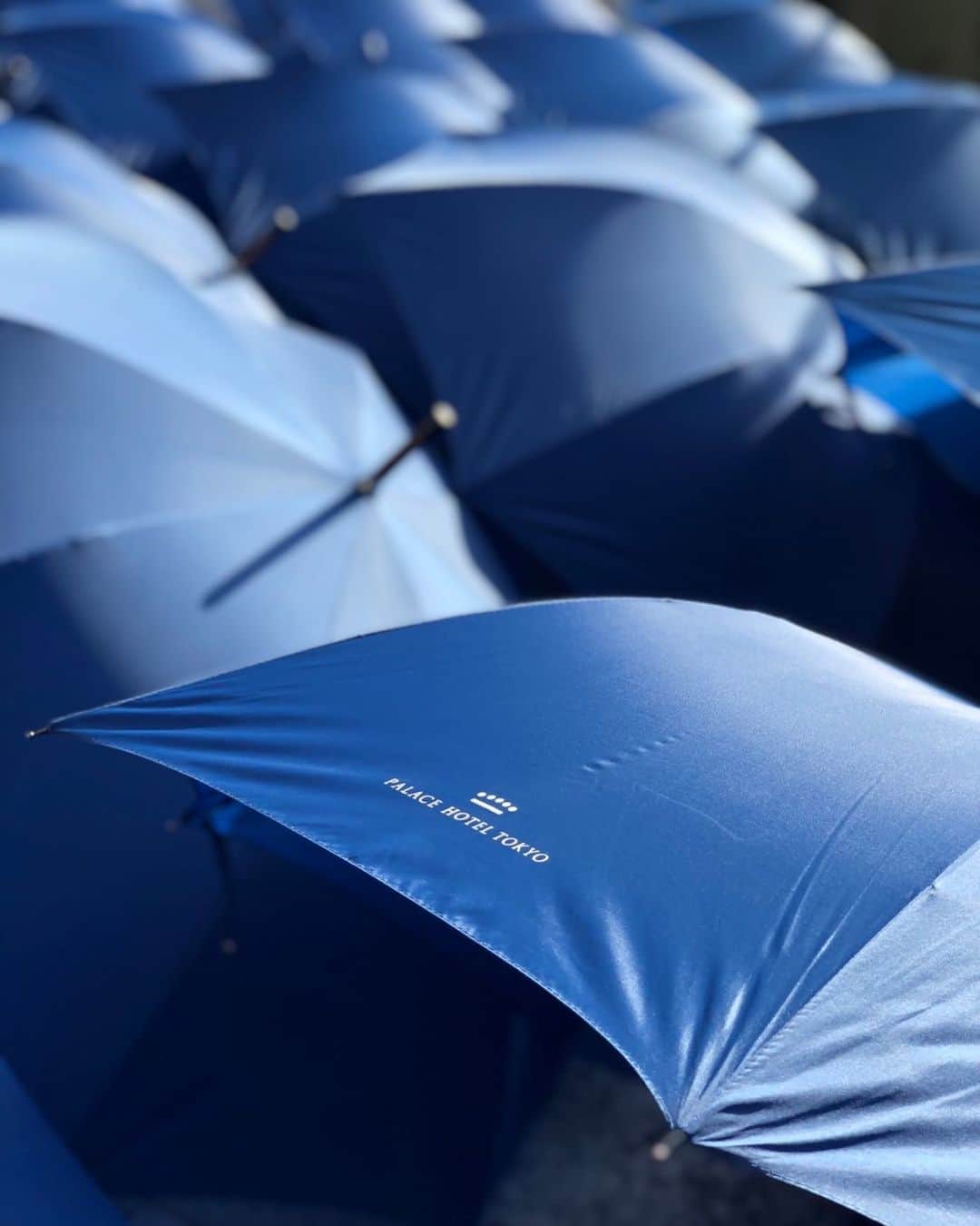 のインスタグラム：「週末の雨の予報に、傘たちも張り切っています。 Our umbrellas are ready for the rainy weekend.  #傘 #晴れ間 #傘干し #東京散歩 #雨の日 #雨の散歩 #雨のお出かけ #ホテルロゴ #丸の内 #パレスホテル東京 #umbrella #rainyday #hotellogo #outforawalk #readyforweekend #uncommontravel #lhwtraveler #FutureTravelGuide #Marunouchi #PalaceHotelTokyo」