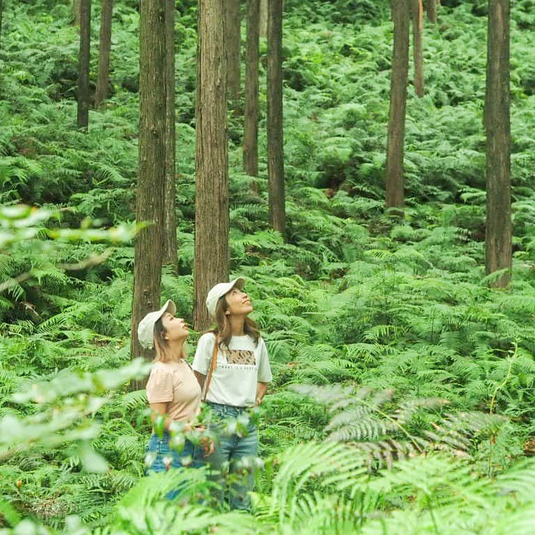 Stayway女子のインスタグラム