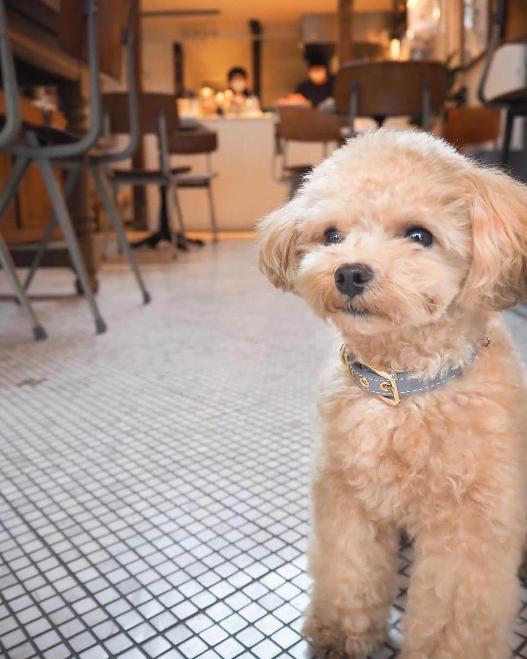 くるみたんのグルメインスタ