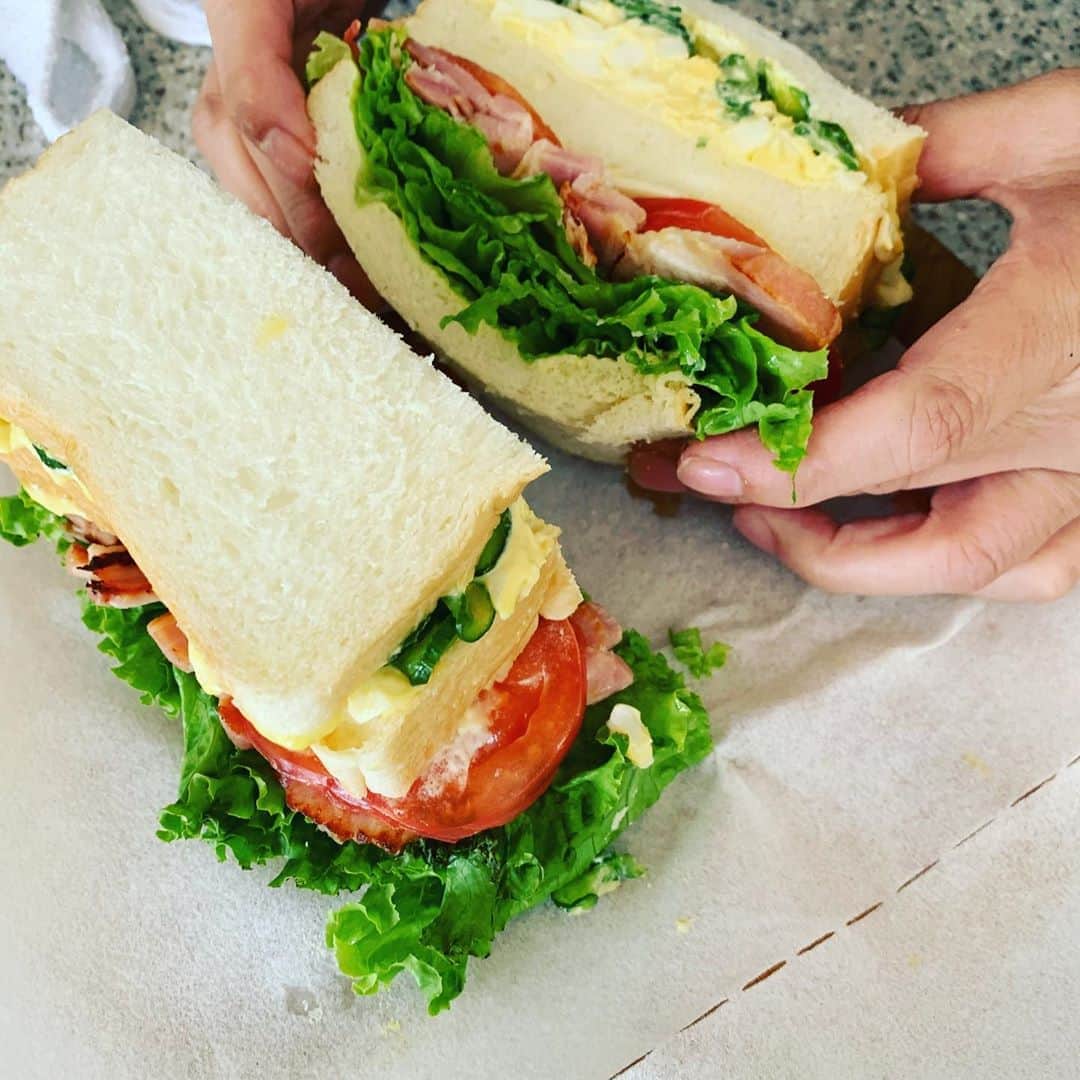 のインスタグラム：「のがみのしょくぱん🍞  サンドイッチ ブロッコリージャガイモ玉葱スープ 超超超超超劇劇劇劇劇 うままままままし アロン トイプードルの姿をした息子 トイプードルの姿をした孫」