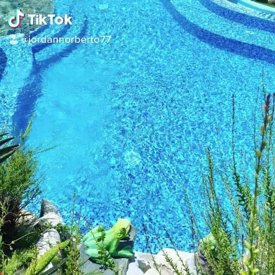 ジョーダン・ノルベルトのインスタグラム：「@haciendavistalinda 🦚🦚🦚🦚👉🏼😍 disponible」