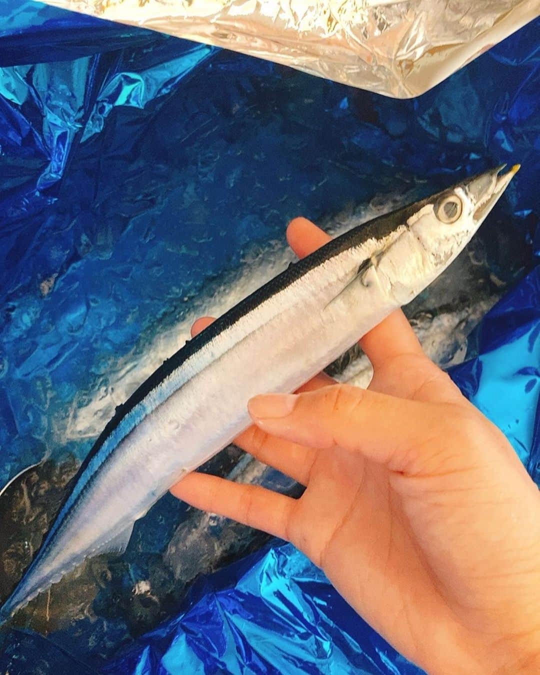 佐藤千晶のインスタグラム：「気仙沼の秋刀魚。 ようやく細胞が「秋がきたぞ」と 言っている感じ😊 届いてすぐに焼いて食べました！ 美味しいなあ。 ありがたいなあ✨  #気仙沼 #秋刀魚 #秋の味覚」