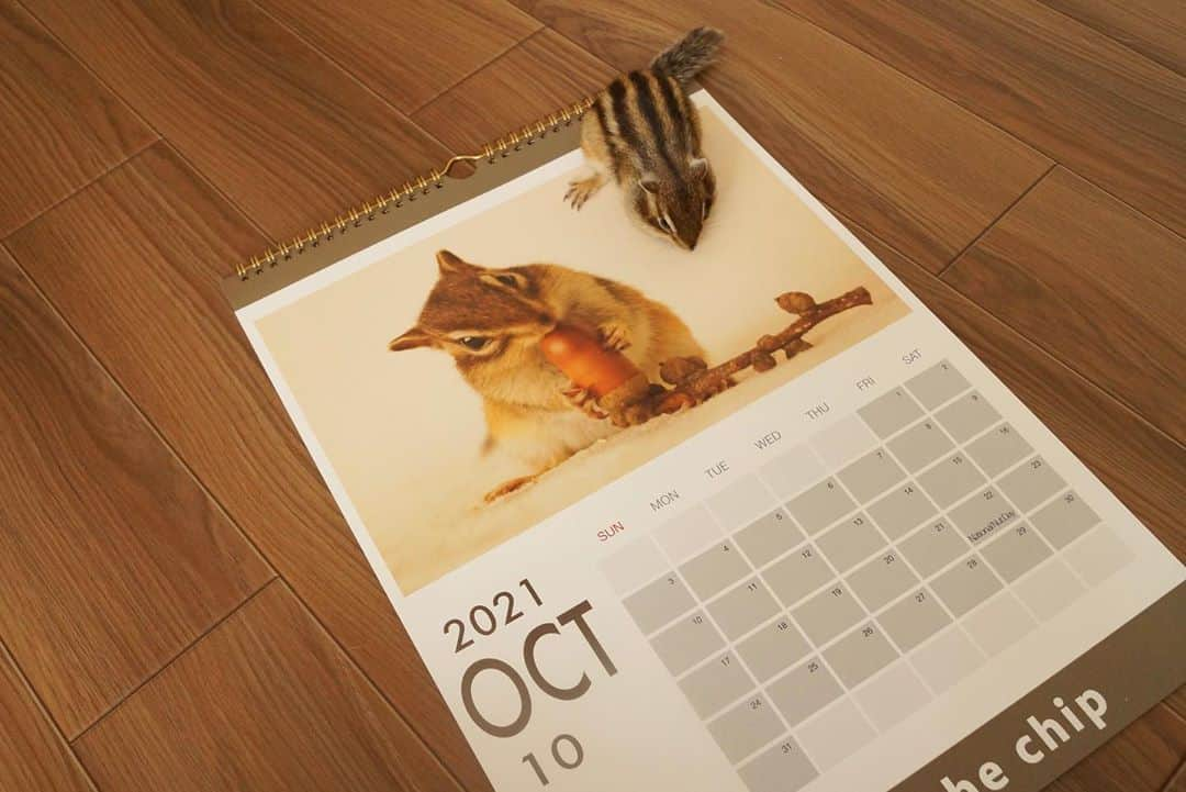 ビッケ & トッドさんのインスタグラム写真 - (ビッケ & トッドInstagram)「2021 Calendar!!  カレンダーサンプルが届きました！ 今回卓上タイプは台紙が黒なので少し大人っぽいデザインです。 カレンダー自体はダークネイビーを使用しているのでおしゃれな配色です。 壁掛けはエトープがベースカラーのシンプルデザイン。 より美しい写真を楽しみたい方はおすすめ。  ご予約は10月末までです。 以降は予備分のみの販売となります。  オンラインショップはプロフィールのリンクからページにとべます。  #chipmunk #シマリス #リス #カレンダー」10月16日 12時38分 - bikke_the_chip