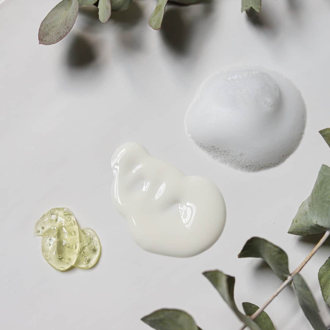 Weledaのインスタグラム：「Which Weleda cleanser texture do you love the most? Gel, Milk, or Foam? 🌿 #WeledaSkin」
