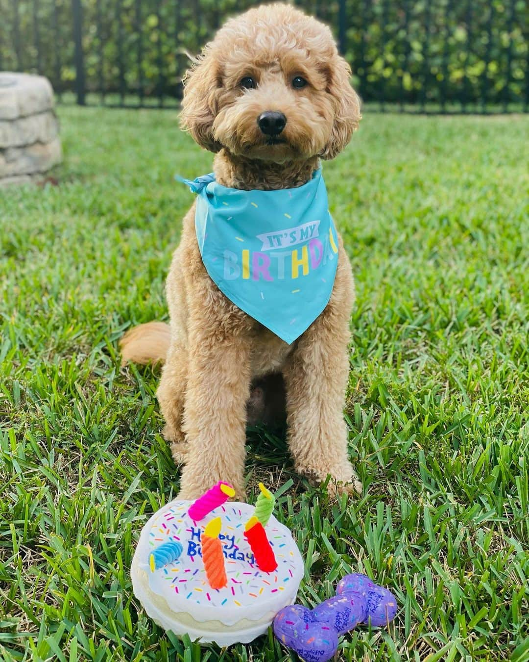 ジェシカ・コルダのインスタグラム：「Happy 3rd!!!!! Birthday to my little nugget 😭😍」