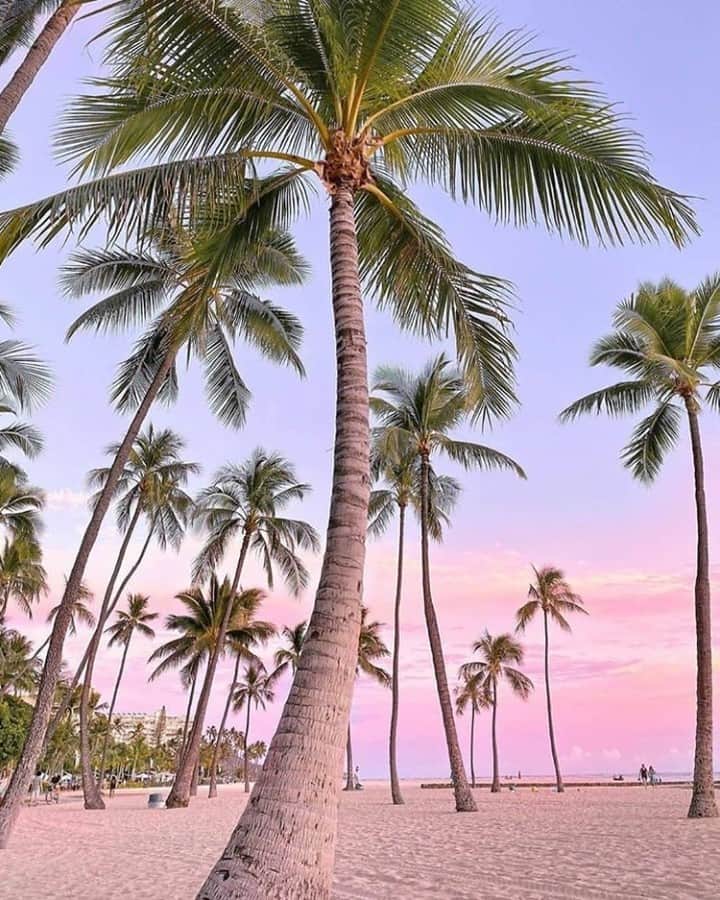Trump Waikikiさんのインスタグラム写真 - (Trump WaikikiInstagram)「Coming in hot: Another stunning sunset from the heart of Oahu. Photo Credit: @travelaxy_」10月16日 6時51分 - trumpwaikiki