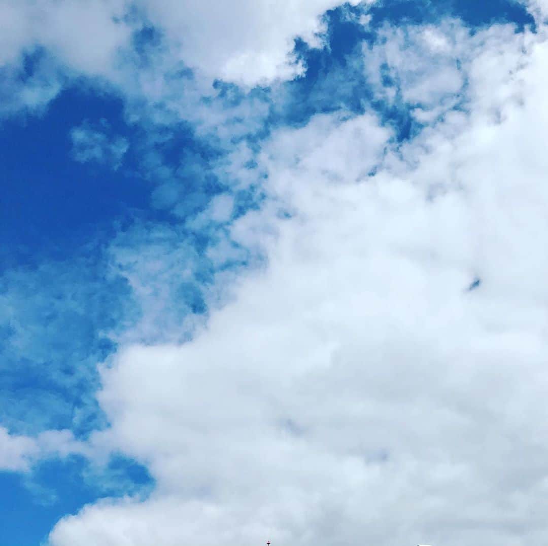 中野耕史のインスタグラム：「おっはよーーーーーございます！！！  今日の調子は虫に聴く？  YouTube新作UPしました🎥  心を伝える日本語 #48 虫の居所 https://youtu.be/mU9YTRxlM0E @YouTubeより」
