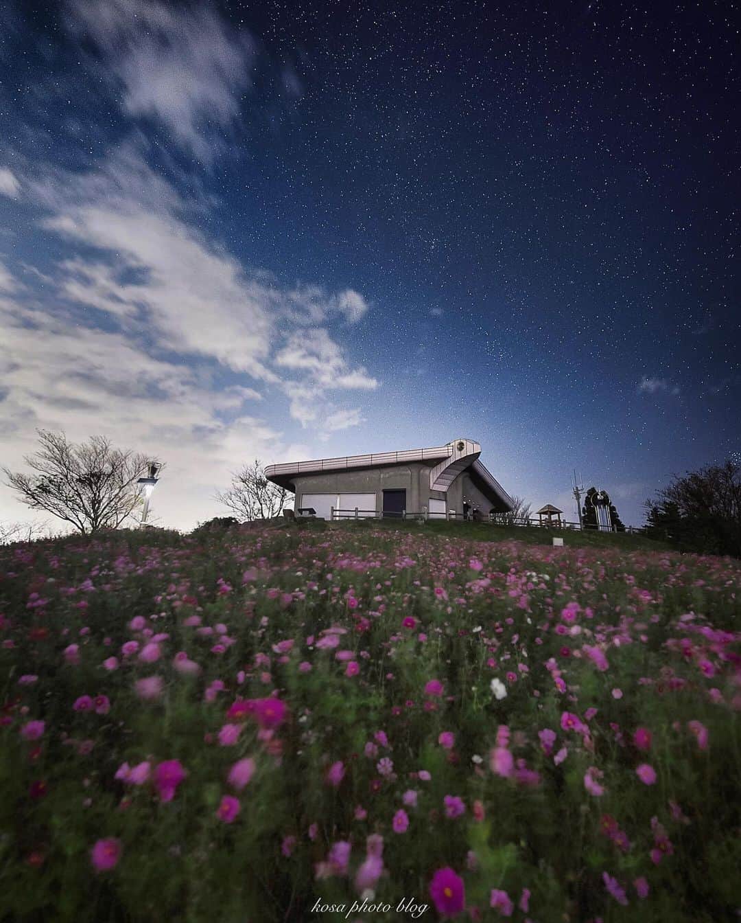 コサさんのインスタグラム写真 - (コサInstagram)「星空の下で見るコスモスもいいもんですね . Location:和歌山 Wakayama / Japan🇯🇵 Date:2020年10月 . #コスモス #star_hunter_jp #noitenoinstagram #TandDフォトコンテスト2020 #discover #今こそ写真でつながろう #japan_night_view_member #longexposure_japan #はなまっぷ #sorakataphoto #art_of_japan_ #tokyocameraclub #dpj_member #team_jp_ #IG_PHOS #photo_jpn #ptk_japan #pt_life_ #bestjapanpics #LBJ_Legend  #YourShotPhotographer #light_nikon #広がり同盟メンバー #nipponpic_member #special_spot_legend #s_shot #japan_of_insta #bestphoto_japan #Rox_Captures #天空のコスモス畑」10月16日 7時56分 - kosa_photo