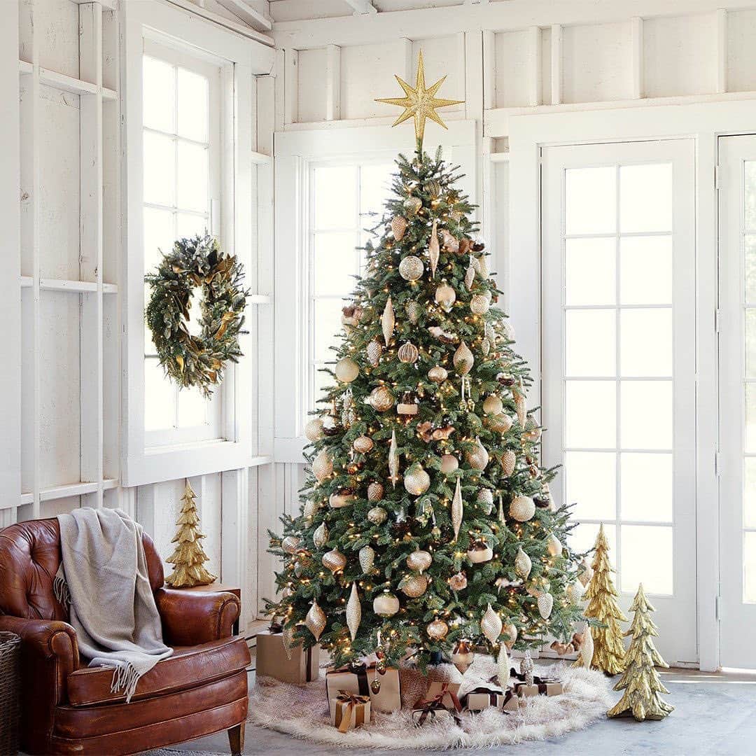 Nordstromさんのインスタグラム写真 - (NordstromInstagram)「Getting excited for the holidays? We are too! Starting today at selected Nordstrom stores, you can now shop Balsam Hill artificial Christmas trees at our new tree lots on display through December 24. Explore tree varieties in all shapes and sizes and pick out the perfect centerpiece for your home—find a location near you at the link in bio. 🎄#stayNspired」10月16日 8時02分 - nordstrom