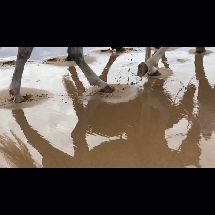 リリー・コールのインスタグラム：「⭕️」