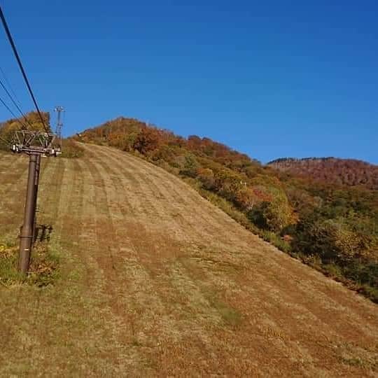 のインスタグラム：「おはようございます！  栂池高原、本日は晴れ 気温6.6℃、風はありません。  山の稜線もくっきりと浮かび上がり 素晴らしい景色が拡がっています。 ゲレンデも冬の準備で、草刈りも順調です！ 暖かい服装でお越しください。  #栂池高原#栂池自然園#アウトドア #登山#tsugaike #気分転換 #ストレス発散 #リフレッシュ  #日本の絶景 #長野の絶景  #大自然 #白馬#白馬村#小谷村 #旅行#自然#空気が美味しい #空気が綺麗 #紅葉 #絶景 #ロープウェイ」