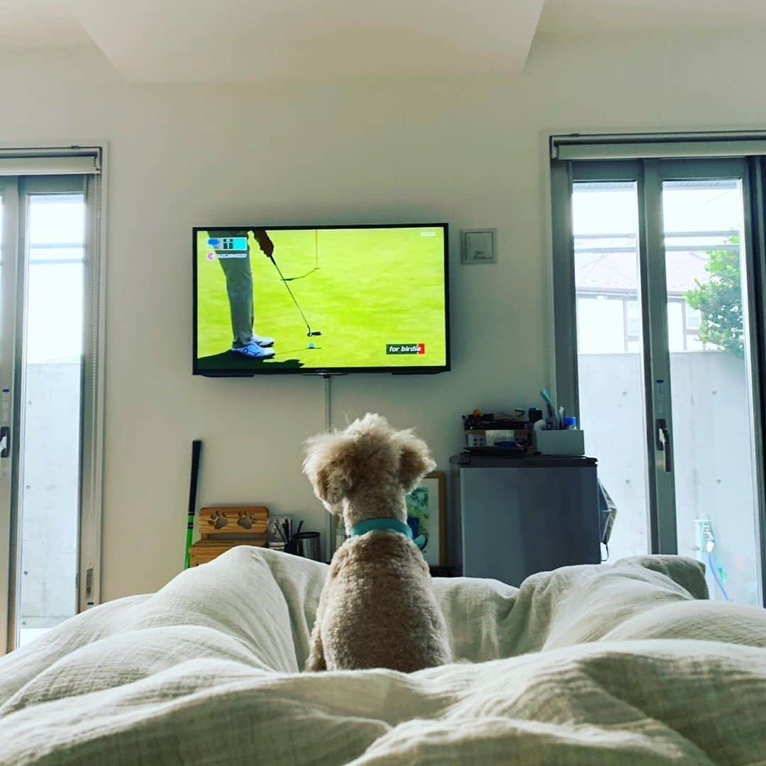 のインスタグラム：「明日17日土曜日17時半スタート Amazon primeビデオ プロ野球そこそこ昔話の配信ライブで復活！ 配信チケットはイープラスで購入出来ます！ 1500円10月24日14時まで購入出来ます！アーカイブ視聴も24日17時59分まで見れます！ MCナイツアシスタント吉田明世 金村義明　山本昌　上原浩治」