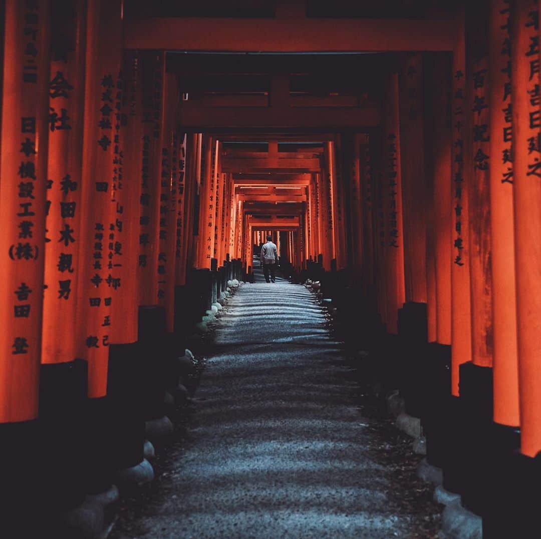 Kyle Kuiperさんのインスタグラム写真 - (Kyle KuiperInstagram)「/ˈtôrēˌē/ ⛩  4 years ago today we got to visit this amazing place, I miss it and can’t wait to go back someday. Japan is hands down of my favorite places I’ve had the privilege of going to, where is that for you?」10月16日 9時17分 - kdkuiper