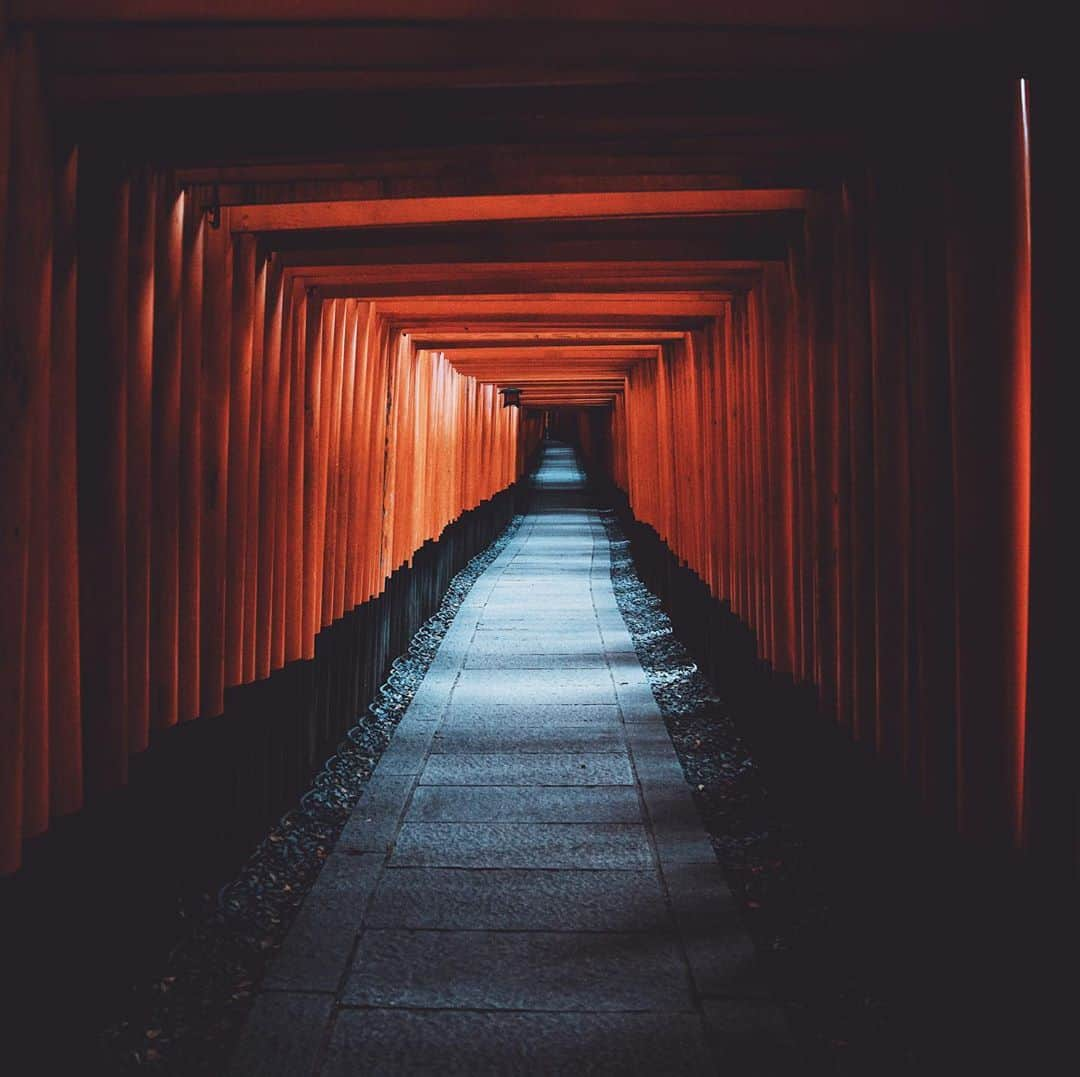 Kyle Kuiperのインスタグラム：「/ˈtôrēˌē/ ⛩  4 years ago today we got to visit this amazing place, I miss it and can’t wait to go back someday. Japan is hands down of my favorite places I’ve had the privilege of going to, where is that for you?」