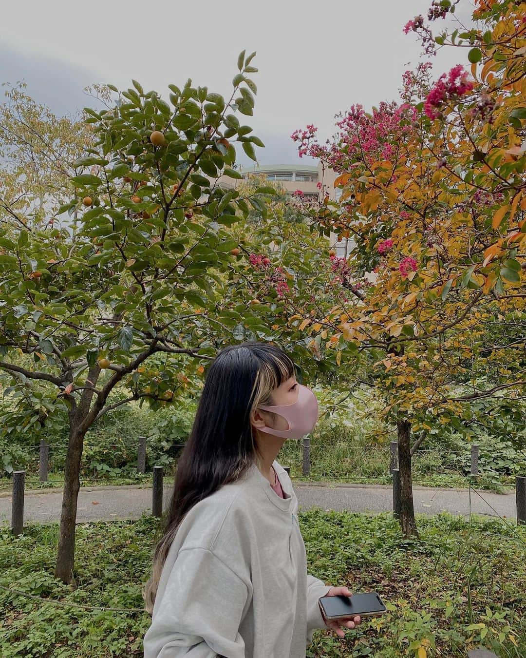 相羽瑠奈さんのインスタグラム写真 - (相羽瑠奈Instagram)「#秋 ☺️🌳🥭🍂💐」10月16日 9時44分 - rone.runa