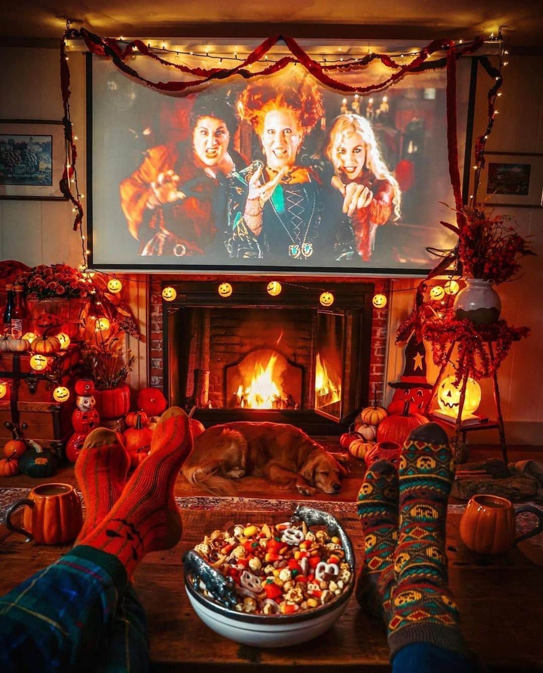Crazy Roomsさんのインスタグラム写真 - (Crazy RoomsInstagram)「What’s your favorite spoopy movie?! 👻👻👻 ft @kjp  . . #fallvibes #fall #hocuspocus #fallroom」10月16日 9時49分 - crazyroomss