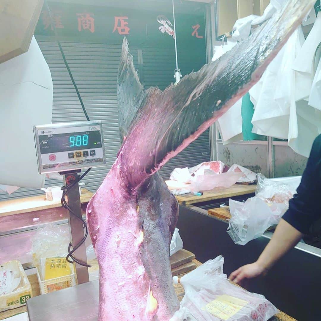 魚金さんのインスタグラム写真 - (魚金Instagram)「北の海よりサンマ届きました！全店に本日も入荷していますので是非！ 北海道産の白魚も透き通りキラキラしていますサイズもよく苦味無くて旨い！和食のお店20店舗程ですが本日は熱々のお出しのきいた玉子とじでご提供致します。 本日青森尻労定置の天然マグロ360キロの大物を入れさせていただきました！中骨だけでも僕の身長より長い〜笑いが止まらない圧巻の大きさです。大きい分力もあり色も綺麗でした。是非魚金でマグロを堪能して頂きたいです！  天気もぐずついていますが金曜日の夜は是非とも魚金で旨い物食べて下さい  仕入部　片之坂 #まぐろ#新橋#玉子#居酒屋#銀座#京橋#マグロ#海鮮丼#刺身#吉祥寺#オイスター#さんま#ビール#ひやおろし#刺身盛り合わせ#宝石#渋谷#魚好きと繋がりたい #レモンサワー#台風#神楽坂#横浜グルメ#飲酒タグラム#たまご#日本酒好きな人と繋がりたい #クラフトビール#お寿司#おでん#yummy」10月16日 9時57分 - uokin_koho