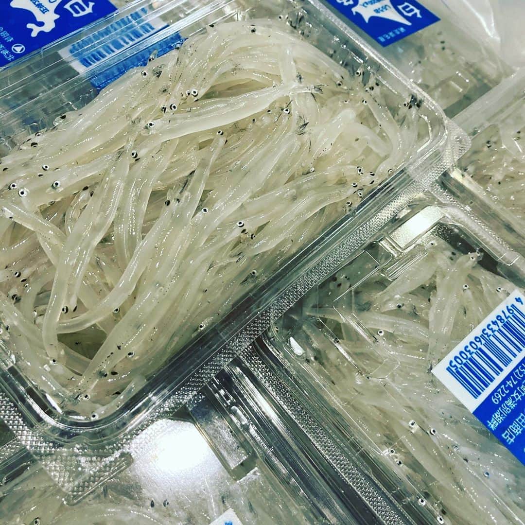 魚金さんのインスタグラム写真 - (魚金Instagram)「北の海よりサンマ届きました！全店に本日も入荷していますので是非！ 北海道産の白魚も透き通りキラキラしていますサイズもよく苦味無くて旨い！和食のお店20店舗程ですが本日は熱々のお出しのきいた玉子とじでご提供致します。 本日青森尻労定置の天然マグロ360キロの大物を入れさせていただきました！中骨だけでも僕の身長より長い〜笑いが止まらない圧巻の大きさです。大きい分力もあり色も綺麗でした。是非魚金でマグロを堪能して頂きたいです！  天気もぐずついていますが金曜日の夜は是非とも魚金で旨い物食べて下さい  仕入部　片之坂 #まぐろ#新橋#玉子#居酒屋#銀座#京橋#マグロ#海鮮丼#刺身#吉祥寺#オイスター#さんま#ビール#ひやおろし#刺身盛り合わせ#宝石#渋谷#魚好きと繋がりたい #レモンサワー#台風#神楽坂#横浜グルメ#飲酒タグラム#たまご#日本酒好きな人と繋がりたい #クラフトビール#お寿司#おでん#yummy」10月16日 9時57分 - uokin_koho