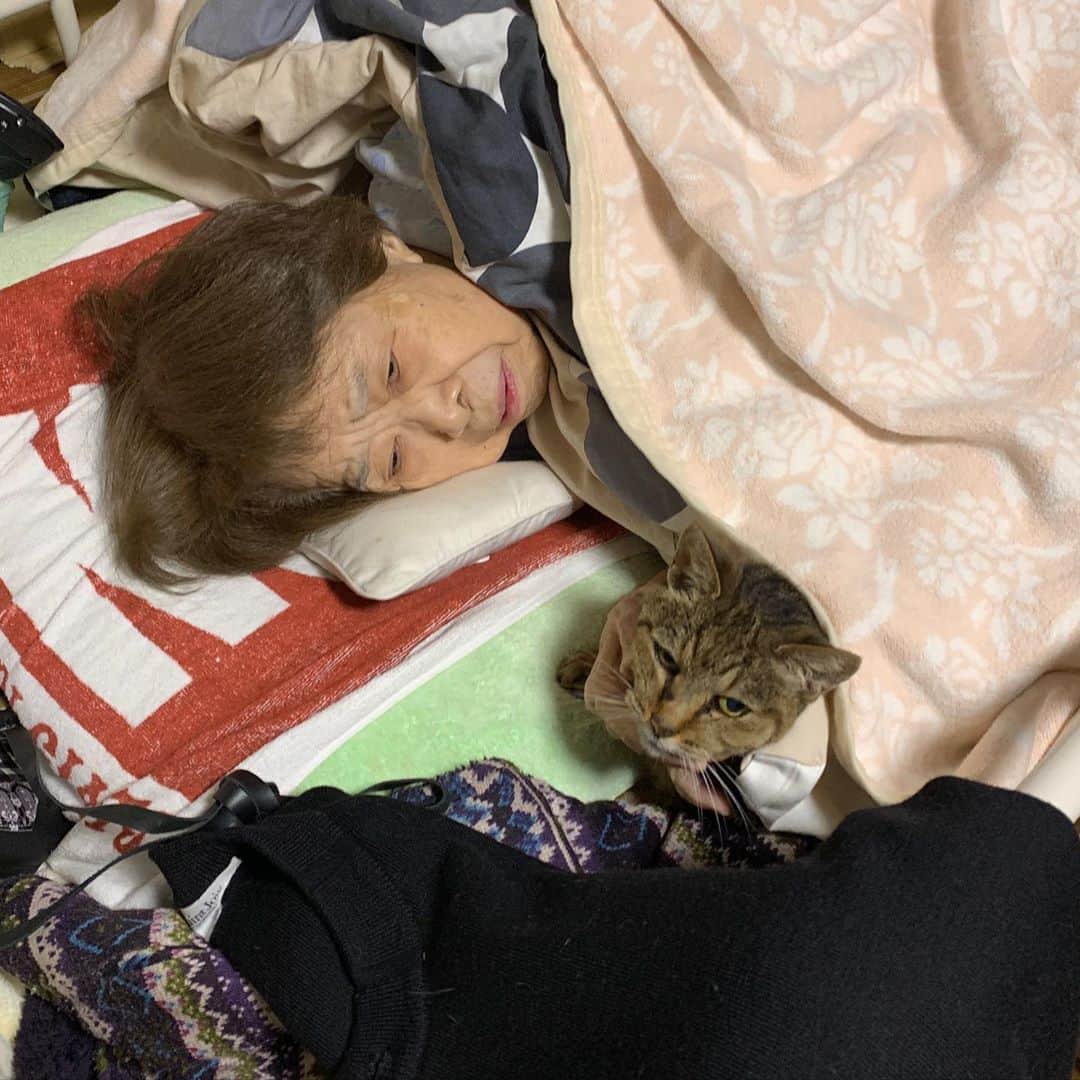 Kachimo Yoshimatsuさんのインスタグラム写真 - (Kachimo YoshimatsuInstagram)「寒くなって来ました。 一緒に寝ると温かいね。 #うちの猫ら #バーバと猫 #バーバ見守り隊 #バーバ #cocoa #猫 #ねこ #cat #ネコ #catstagram #ネコ部 http://kachimo.exblog.jp」10月16日 10時16分 - kachimo