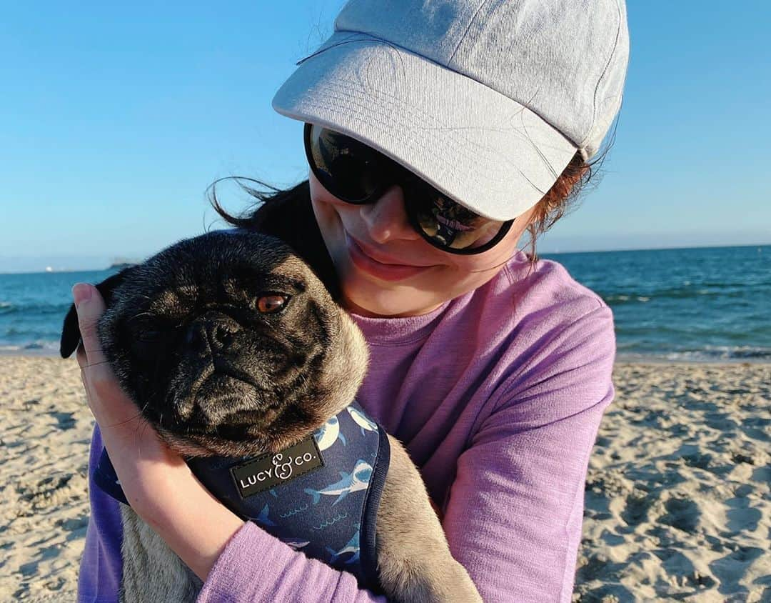 ミランダ・コスグローヴさんのインスタグラム写真 - (ミランダ・コスグローヴInstagram)「Meet Harold and Maude! I found these two potatoes wandering the streets together and have been fostering them ever since. They’re looking for their forever home through the amazing @loveleorescue. If you don’t have any cats and you want a lot of love in your life head over to @loveleorescue and fill out an adoption application 💕」10月16日 10時27分 - mirandacosgrove