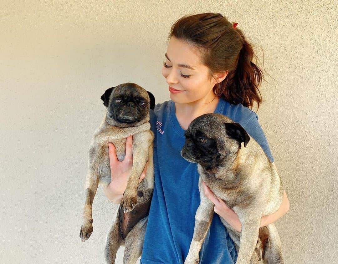 ミランダ・コスグローヴのインスタグラム：「Meet Harold and Maude! I found these two potatoes wandering the streets together and have been fostering them ever since. They’re looking for their forever home through the amazing @loveleorescue. If you don’t have any cats and you want a lot of love in your life head over to @loveleorescue and fill out an adoption application 💕」