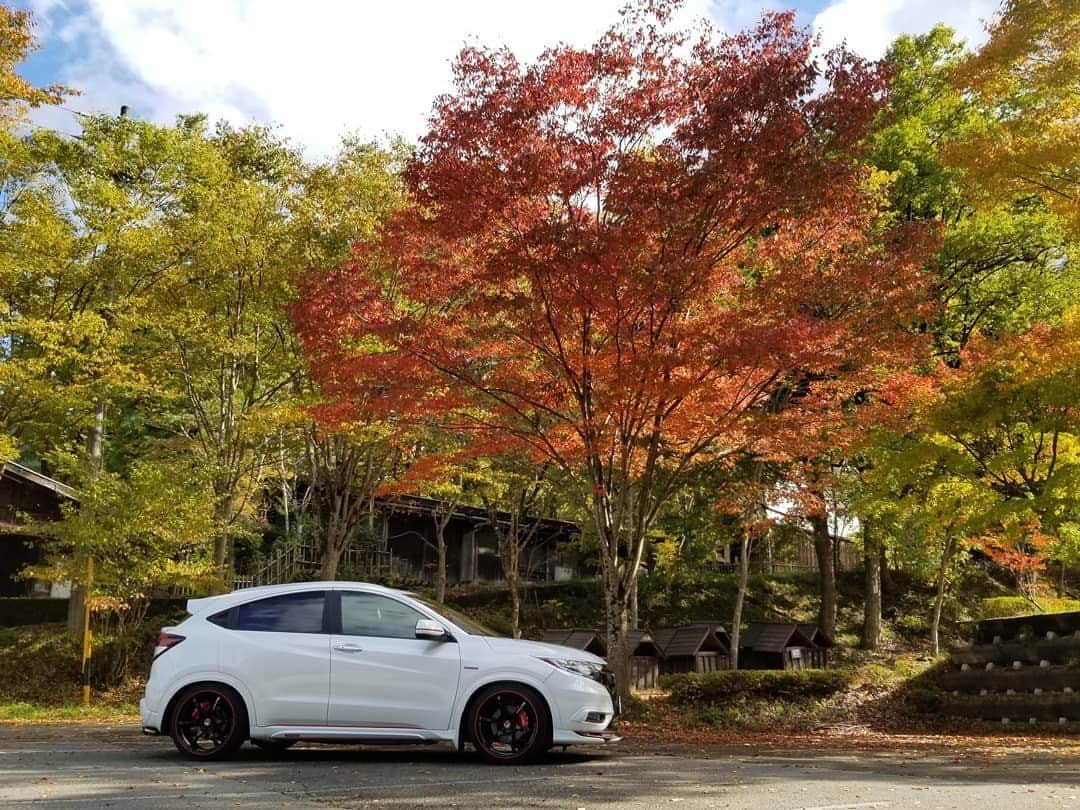 Honda 本田技研工業(株)さんのインスタグラム写真 - (Honda 本田技研工業(株)Instagram)「キリッとした白いボディのヴェゼルも一緒に、秋景色の記念撮影！ . 「飛騨の里の秋景色」 Photo by @take_ze4 . #MeandHonda #Honda #写真 #photo #ファインダー越しの私の世界 #クルマ #ヴェゼル #vezel . 本アカウントでは、「 #MeandHonda 」をつけてInstagramに投稿された皆さんのお出かけ写真やHonda製品を取り入れた写真を紹介しています。たくさんのご投稿をお待ちしています。」10月16日 11時00分 - hondajp