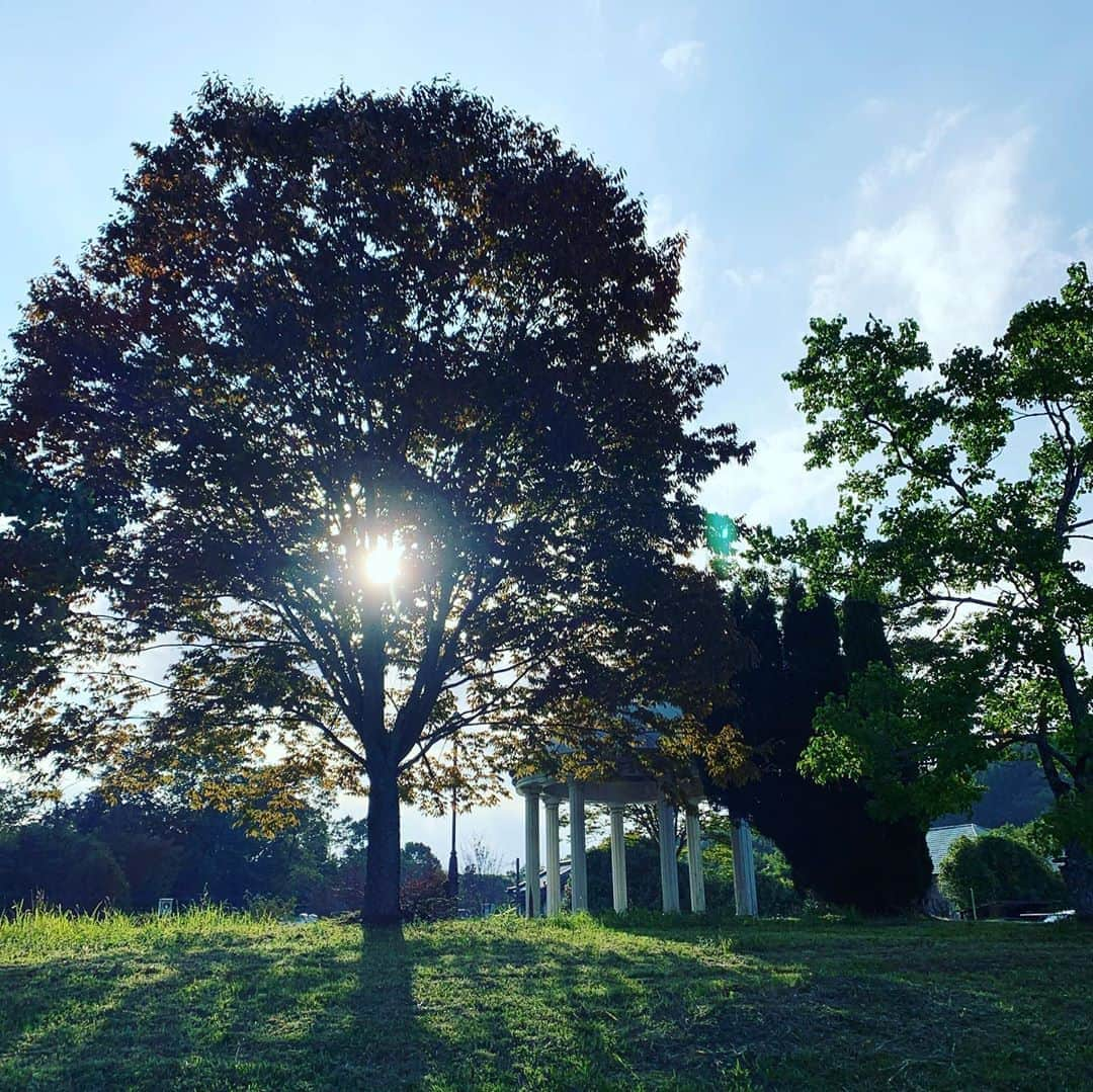 齊藤美絵さんのインスタグラム写真 - (齊藤美絵Instagram)「少し前に 大分県竹田市に移住しました🏡 大分は地元ではありますが、 竹田(たけた)は、 私にとって“未開”の地であり、 でも、幼い頃の記憶と、 もっと遠い遠い過去の記憶とが 交錯し、どこか心が落ち着く場所✨  マウイで感じたことと 共通する感覚が多くて、 心惹かれてから、 スルスルと導かれるように 移住が決まりました。  所謂Uターンではなく、 Jターンですが、 私にとっては、 第0の故郷に降り立ったような 不思議な心地がしています。  自然豊かで、 温泉と湧水がそこかしこに♨️ 地元の方も移住者も 魅力的な方々がたくさんで、 自然と人に魅了されています。  子育ての環境として、 私が暮らす場所として 探してきた 目の前に見える景色の90%以上が“自然”の場所。  そんな場所で、 地球に寄り添った暮らしを 味わっていけたらと 思っています。  移住に際して、 本当にたくさんの方々のお力を 頂きました。  感謝の氣持ちでいっぱいです✨  竹田の皆さん、これからどうぞよろしくお願い致します。  繋がりのある皆さん、 これからSNSでpostする 竹田に惹かれましたら、 どうぞご連絡ください🍀  #大分　#竹田　#oita #taketa #移住　#第0の故郷　#温泉　#長湯　#湧水　#♨️ #地球に寄り添った暮らし方 #liveontheearth #育児　#ツタエルヒト。」10月16日 20時55分 - saitomie