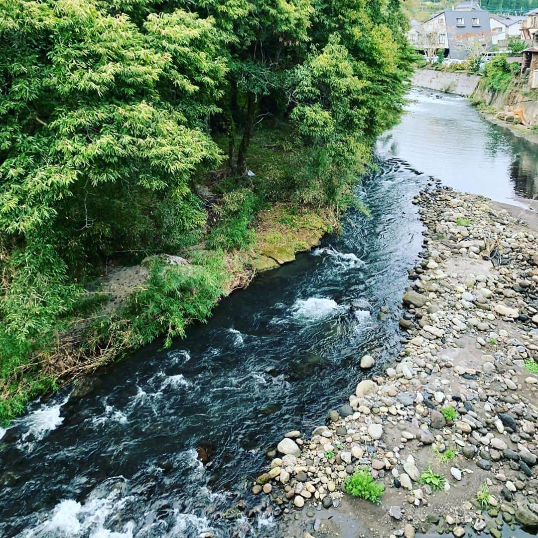 齊藤美絵さんのインスタグラム写真 - (齊藤美絵Instagram)「少し前に 大分県竹田市に移住しました🏡 大分は地元ではありますが、 竹田(たけた)は、 私にとって“未開”の地であり、 でも、幼い頃の記憶と、 もっと遠い遠い過去の記憶とが 交錯し、どこか心が落ち着く場所✨  マウイで感じたことと 共通する感覚が多くて、 心惹かれてから、 スルスルと導かれるように 移住が決まりました。  所謂Uターンではなく、 Jターンですが、 私にとっては、 第0の故郷に降り立ったような 不思議な心地がしています。  自然豊かで、 温泉と湧水がそこかしこに♨️ 地元の方も移住者も 魅力的な方々がたくさんで、 自然と人に魅了されています。  子育ての環境として、 私が暮らす場所として 探してきた 目の前に見える景色の90%以上が“自然”の場所。  そんな場所で、 地球に寄り添った暮らしを 味わっていけたらと 思っています。  移住に際して、 本当にたくさんの方々のお力を 頂きました。  感謝の氣持ちでいっぱいです✨  竹田の皆さん、これからどうぞよろしくお願い致します。  繋がりのある皆さん、 これからSNSでpostする 竹田に惹かれましたら、 どうぞご連絡ください🍀  #大分　#竹田　#oita #taketa #移住　#第0の故郷　#温泉　#長湯　#湧水　#♨️ #地球に寄り添った暮らし方 #liveontheearth #育児　#ツタエルヒト。」10月16日 20時55分 - saitomie