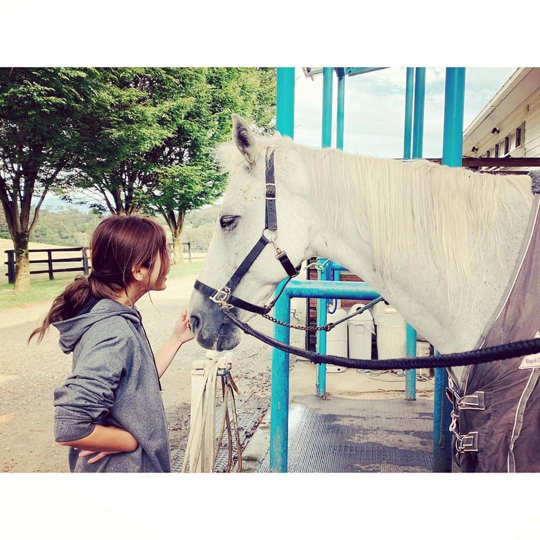 紗栄子のグルメインスタ