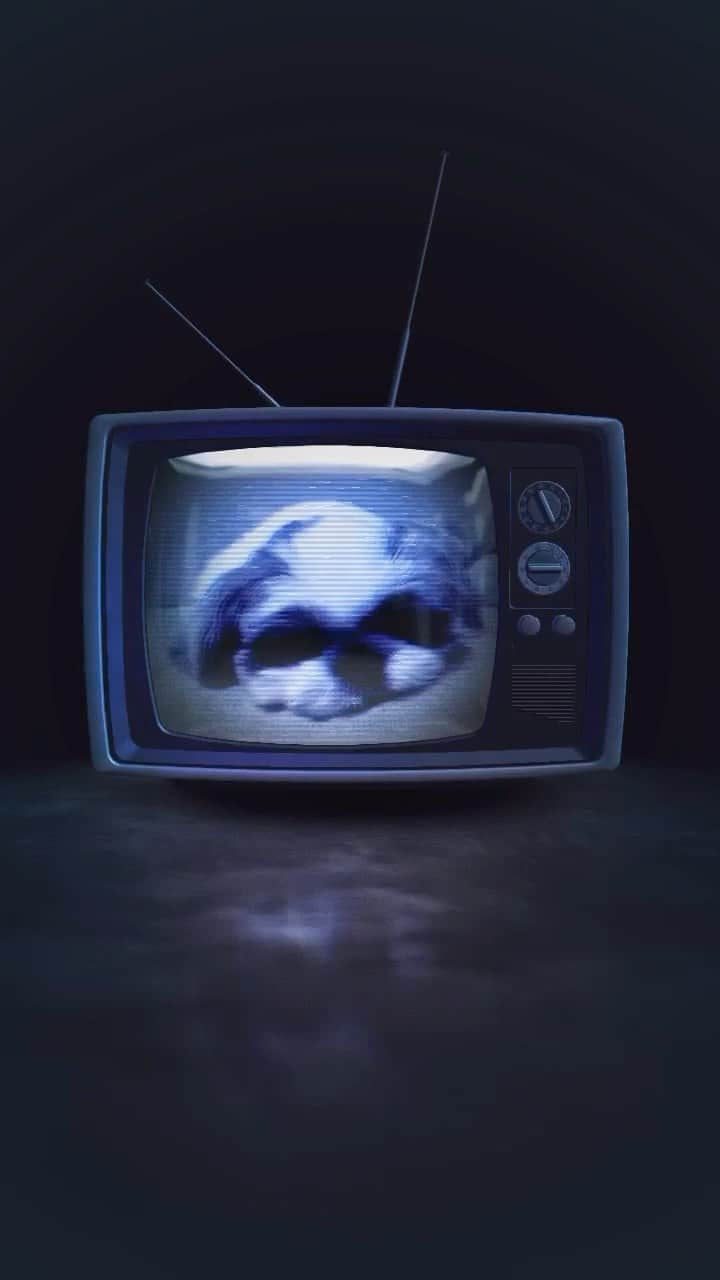のインスタグラム：「The Ring🎞 ・ きっとくる〜👻 きっとくる〜👁 ・ リールのエフェクトで遊んでみた🐶👍 ・ なんか怖くなってきたから最後はR18な感じに編集🐶💕 ・ リングが怖い人は見ないでね🧟‍♀️ ・ #リング #貞子 #thering #シーズー シーズーlove #ロングまつ毛ワンコの会 #いぬのきもち部 #いぬのきもち #鼻ぺちゃ犬 #短足犬 #いぬすたぐらむ #愛犬 #犬 #shihtzu #shihtzulovers #shihtzulove #shihtzugram #dog #dogsofinstagram #shihtzulover #shihtzumania #dogstagram #shihtzusgram #cute #dogs #shihtzu_feature #instadog #ホラー」