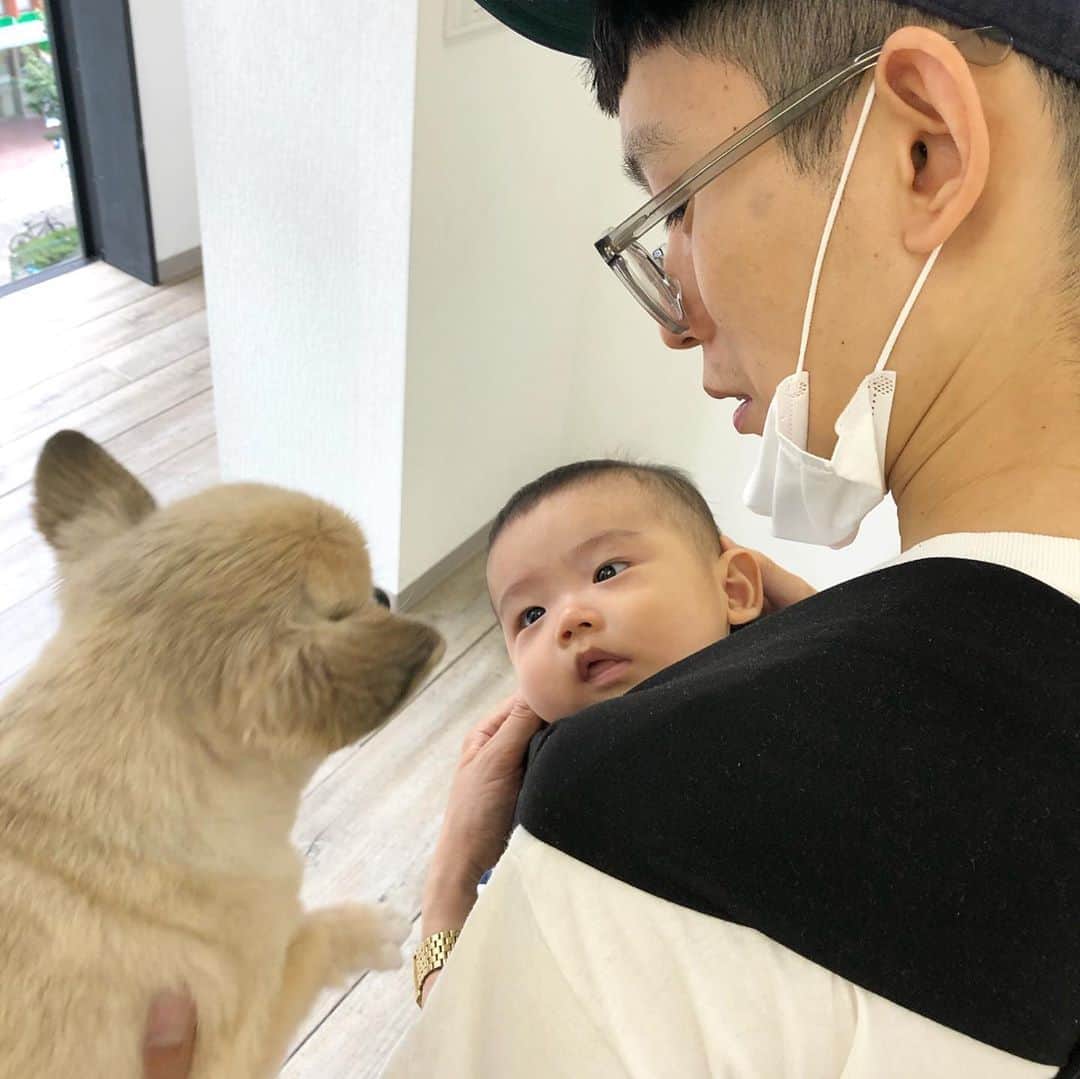 馬渕史香さんのインスタグラム写真 - (馬渕史香Instagram)「未知との遭遇🛸  先日、ポルカ店長代理にごあいさつしてきました  見つめ合う🐶と🦕  #STINGRAY  #あしざわ家 #赤ちゃんのいる生活  #ずぼら主婦  #ゼクシィbabyママ隊  #令和2年生まれ #5月生まれ #男の子ベビー #令和ベビー #babyboy #2020baby  #ゼクシィbaby #ベビーグラム #ベビフル #コズレ #ままのて   ＠weleda_japan #ヴェレダ #ヴェレダベビー #ヴェレダベビーアンバサダー #ヴェレダファンプログラム」10月16日 21時11分 - fumika0902