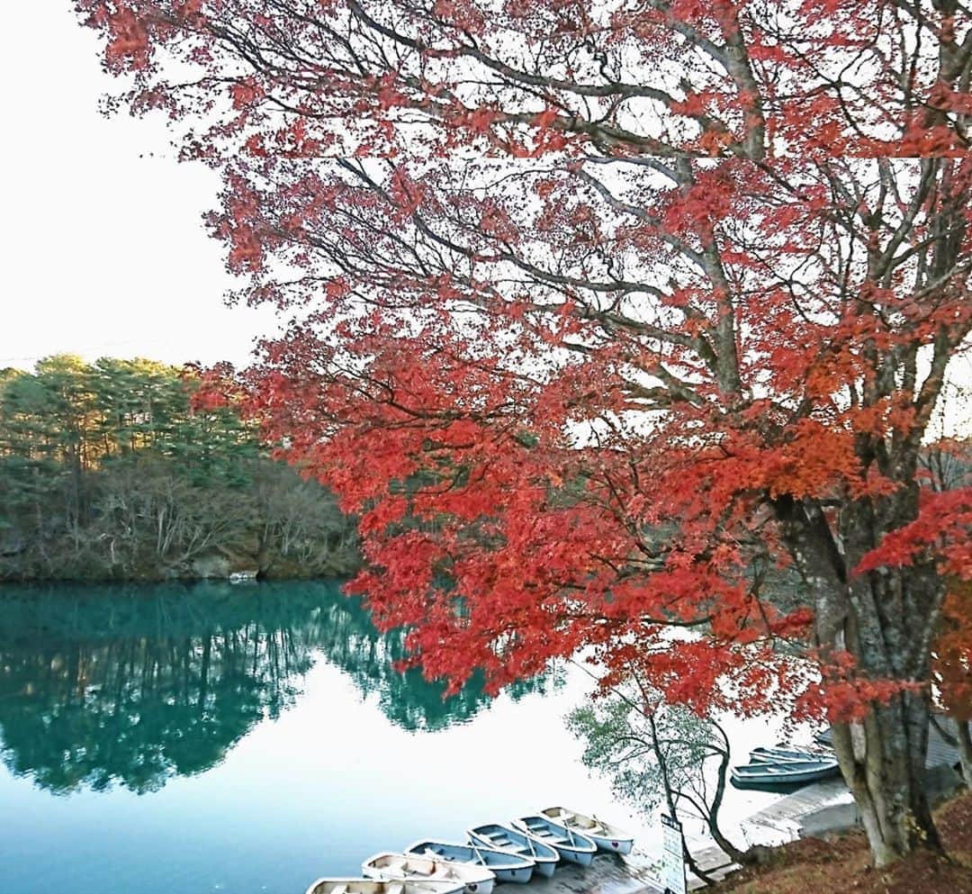 松野行秀のインスタグラム