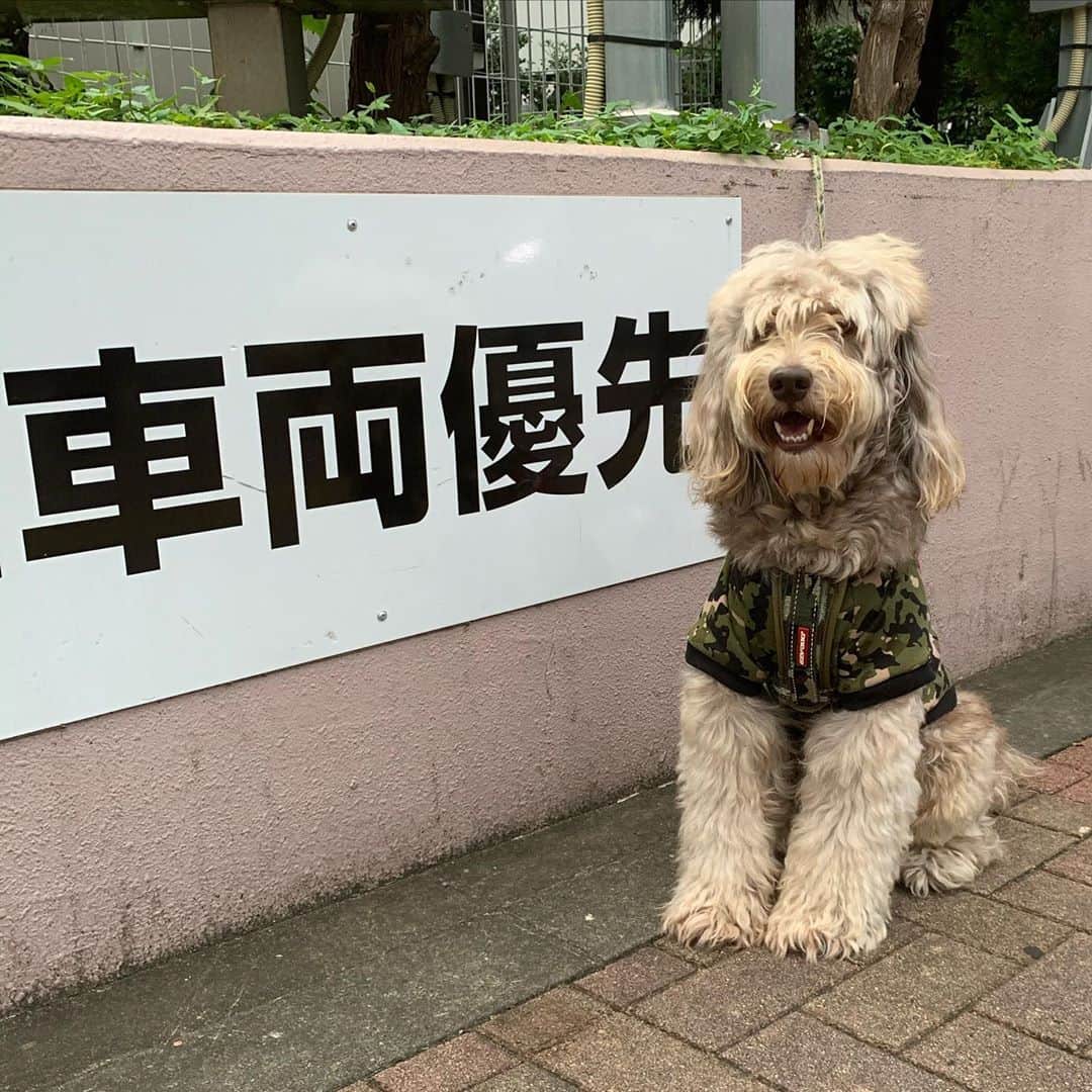 一三のインスタグラム