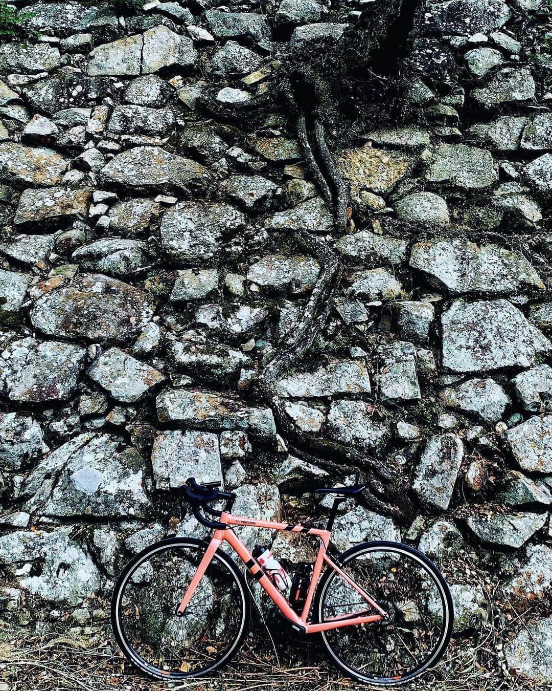mana___chinのインスタグラム：「🏯洲本城🏯  標高133m。食後の運動に最適です🚴‍♀️  #ロードバイク #ロードバイクのある風景 #ロングライド #チャリダー #ヒルクライム #サイクリング #アワイチ #キャノンデール #caad13 #cannondale #ridecannondale #roadbike #roadbikelife #roadbike_jp #ロードバイクjp #igcjp #cycling #坂バカ #洲本城 #三熊山 #淡路島 #awajishima」