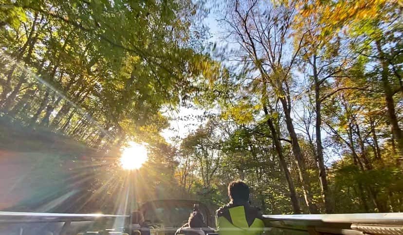 のインスタグラム：「「紅葉プレミアムオープンバスツアー」 開催まであと2日🍁 . 全長約14kmの奥入瀬渓流をすべてご案内する、このツアー。 1番美しい時間帯の奥入瀬渓流、十和田湖へご案内するため、朝7時のスタートです。本日の早朝は2度。今季1番の冷え込みでしたが、その分澄んだ空気や、朝日で煌く徐々に黄葉する森、運が良ければ朝日×黄葉×靄のコラボレーションを目にすることもできます。ご参加の際は暖かい格好でお越しくださいませ🧥🧤 . オープントップバスから眺める景色は格別。屋根がなく開放感があり、目線は約3m。渓流のせせらぎやかつらのキャラメルのような甘い香り、紅葉を間近に感じ、リフレッシュしてきてください☺️ . 徒歩では見ることのできない位置にある滝を間近で見ることができます👀(岩菅の滝) .  . #紅葉プレミアムオープンバスツアー #奥入瀬渓流 #十和田八幡平国立公園 #oirasekeiryu  #oirasestream  #星野リゾート奥入瀬渓流ホテル #hoshinoresorts #oirasekeiryuhotel  #青森県 #十和田市 #aomori #towada #japan #オープントップバス #2階建て屋根なしバス #馬門岩 #雲井の滝 #岩菅の滝 #銚子大滝」