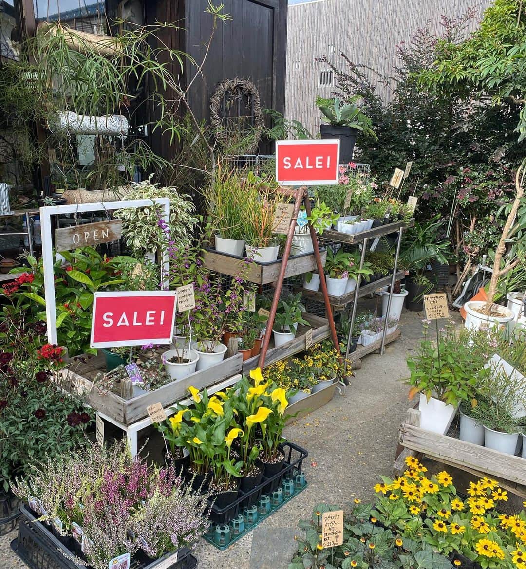 MILLE ECLAT.のグルメインスタ