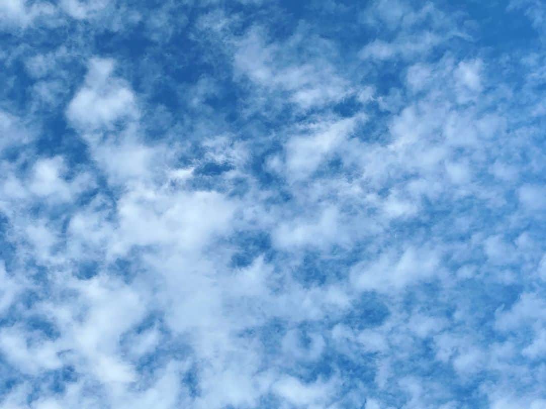倉田雅世さんのインスタグラム写真 - (倉田雅世Instagram)「雲の流れが早いなあ。 みなさんが、健やかでありますように。」10月16日 14時38分 - kuralamune