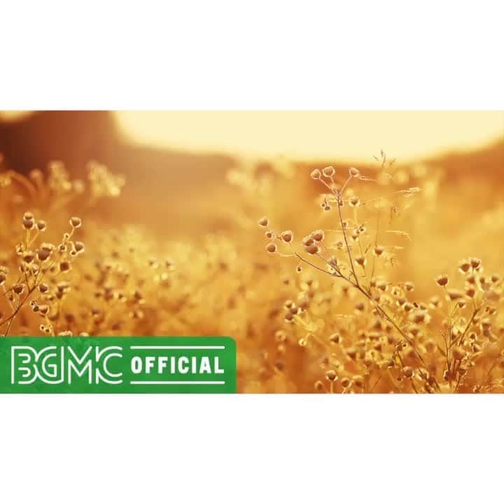 のインスタグラム：「Stress Relieving and Soothing Instrumental Music to Focus, Yoga, Meditate and Sleep  Please check the full version on #YouTube from the profile URL.  #BGMC #BGMClife #GreenMusicBGMchannel #StayHome #yoga #focus #sleep」