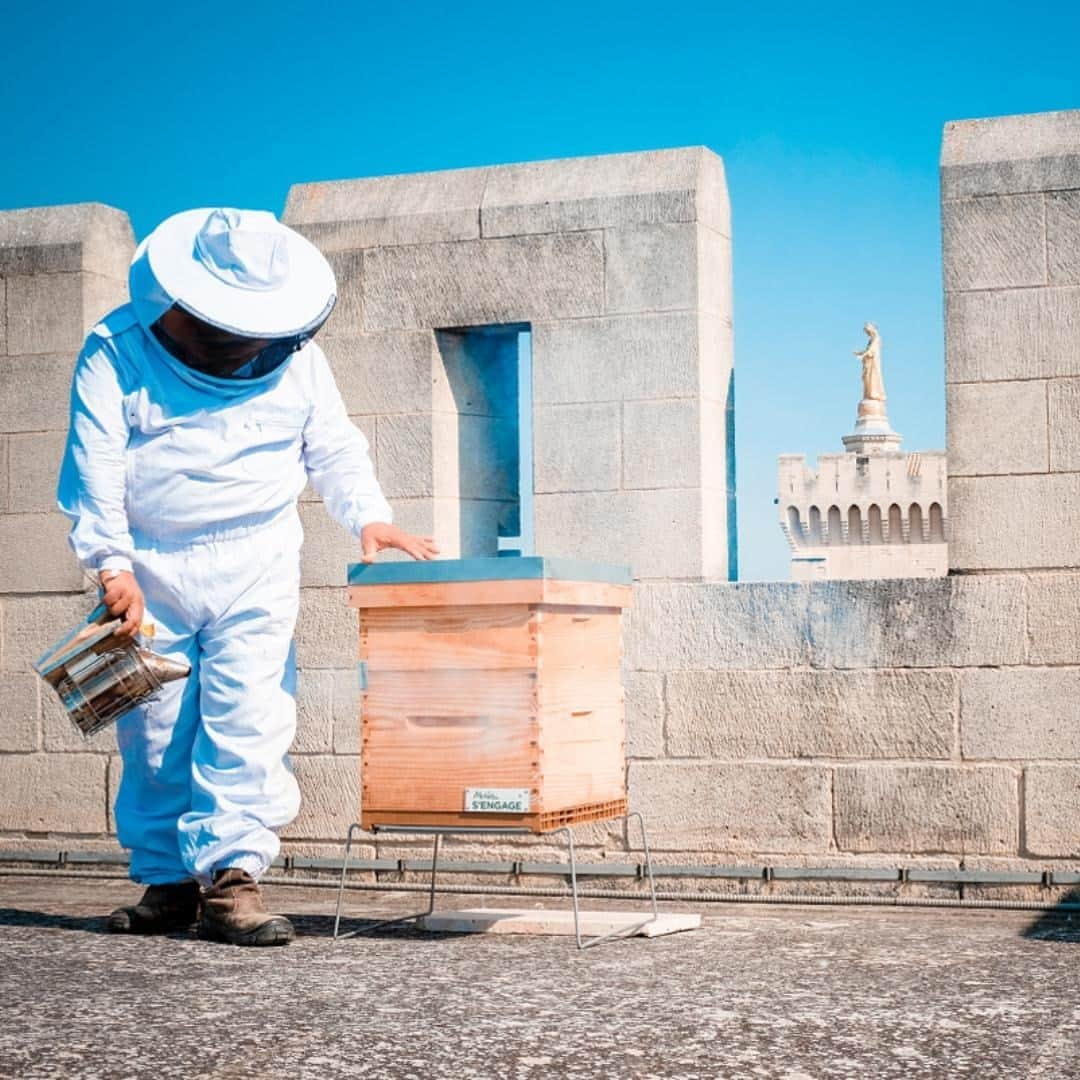 Melvita Officialさんのインスタグラム写真 - (Melvita OfficialInstagram)「🐝Bzzz… engagé depuis toujours dans la protection des abeilles, Melvita est présent sur les toits du Palais des Papes 🐝  Nous avons soutenu le projet pour installer 6 ruches sur les toits du célèbre Palais des Papes d’Avignon et accueillir une ruche pédagogique pour sensibiliser le grand public. 🍯  L’abeille a toute sa place en ville… selon vous, quelles en sont les raisons ?  #Melvita #cosmetique #bio #responsable #engagé #biodiversité #protection #abeilles #bees #avignon #palaisdespapes #ruche」10月16日 15時00分 - melvitaofficial