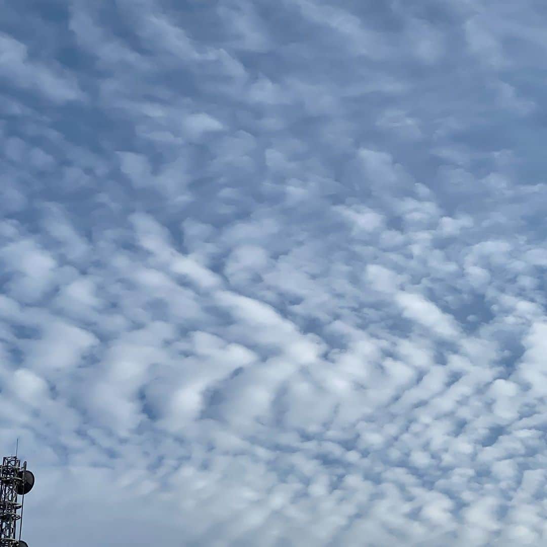 魔女菅原さんのインスタグラム写真 - (魔女菅原Instagram)「#イマソラ　  鯖雲と言われる積乱雲。 私には冬のコートの織りに見えるなあ。綾杉。 ヘリンボーン、フィッシュボーンとも言うそうです。 すぐに解けて大きめの鱗雲になったけど。  #雲　#雲が好きな人と繋がりたい #秋雲 #魔女菅原」10月16日 15時23分 - hatsuyosugawara