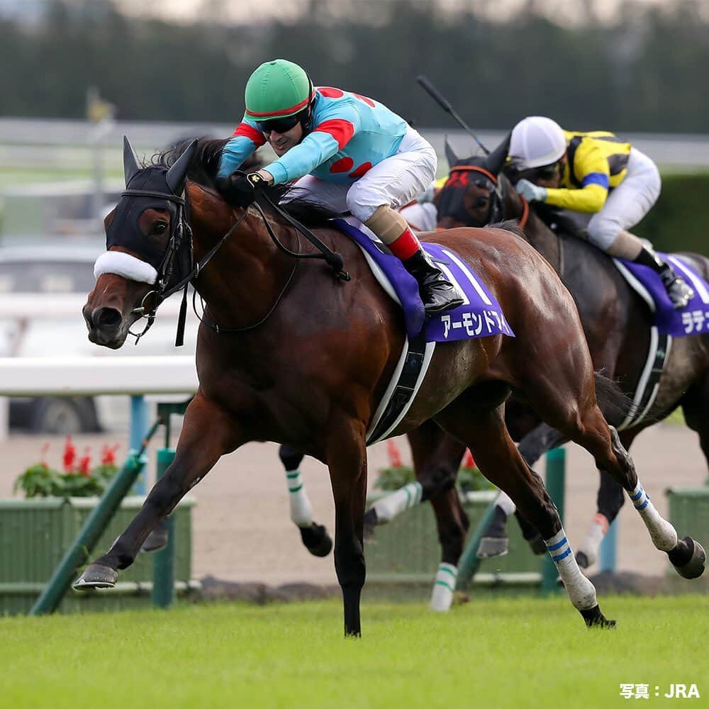 umabi_officialのインスタグラム：「今週末は、秋華賞(GI)  #2018年の優勝馬は #アーモンドアイ #この勝利で #牝馬三冠 を達成 #今年は史上初 #無敗の牝馬三冠馬 の #誕生なるか #大注目だね #うまび #秋華賞」