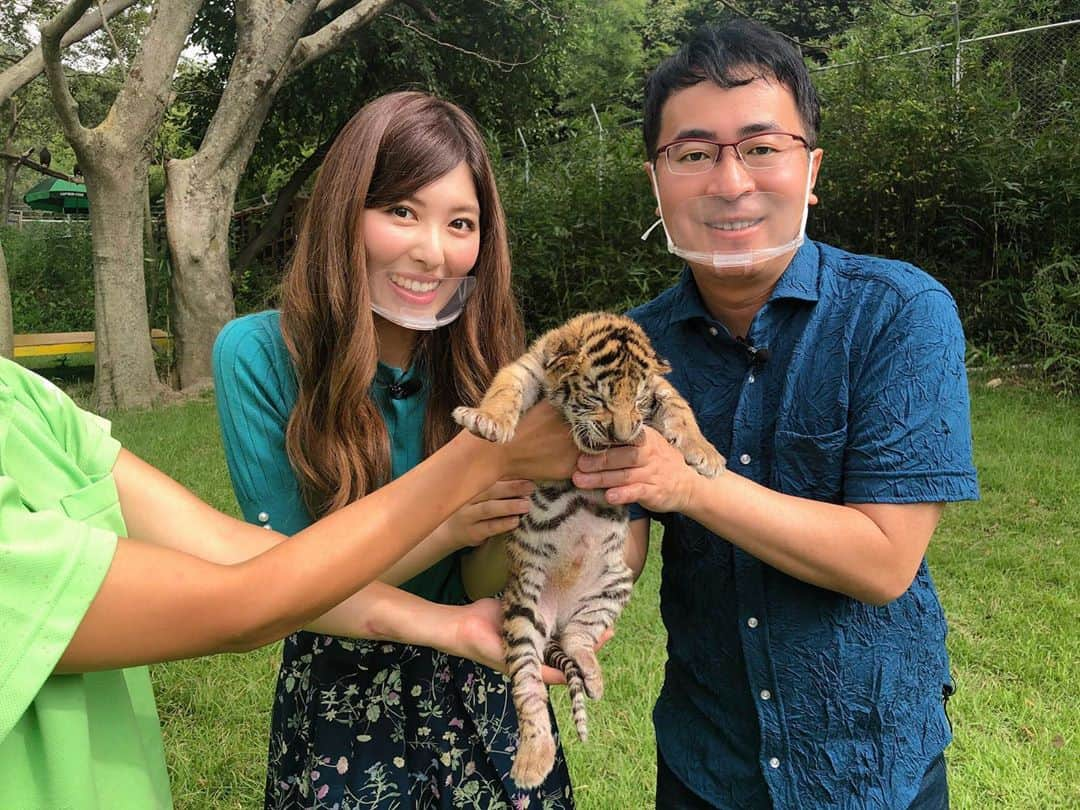 橘ゆりかさんのインスタグラム写真 - (橘ゆりかInstagram)「🐯🍼🐘🦒🦌﻿ ﻿ #いい福みつけ旅 ロケで香川県へ行ってきました❣️﻿ ﻿  #しろとり動物園 で産まれたばかりのトラの赤ちゃんにミルクやり体験をさせてもらったの🥺🥺﻿ ﻿  まだ歯も生えてないし目もほとんど見えてないらしく…この時はほぼ子猫！！﻿ 写真見返してもずっとかわいい〜尊い🐯💕﻿ もう大きくなってるだろうなぁ。。。﻿ ﻿  他にも近距離でキリンにエサやりも出来て貴重な体験をさせてもらいました✨﻿ まつエクしてるのかなって思うくらい目が綺麗でした！！しろとり動物園おもしろかった👏﻿  ﻿ ﻿ #香川県 #動物園 #香川旅行 #奈良テレビ #福盛訓之 さん #橘ゆりか #虎 #トラの赤ちゃん #どうぶつ #ゾウさん #キリンさん #動物好き #四国旅行 #🐯 #zooanimals」10月16日 15時51分 - yuricalcal