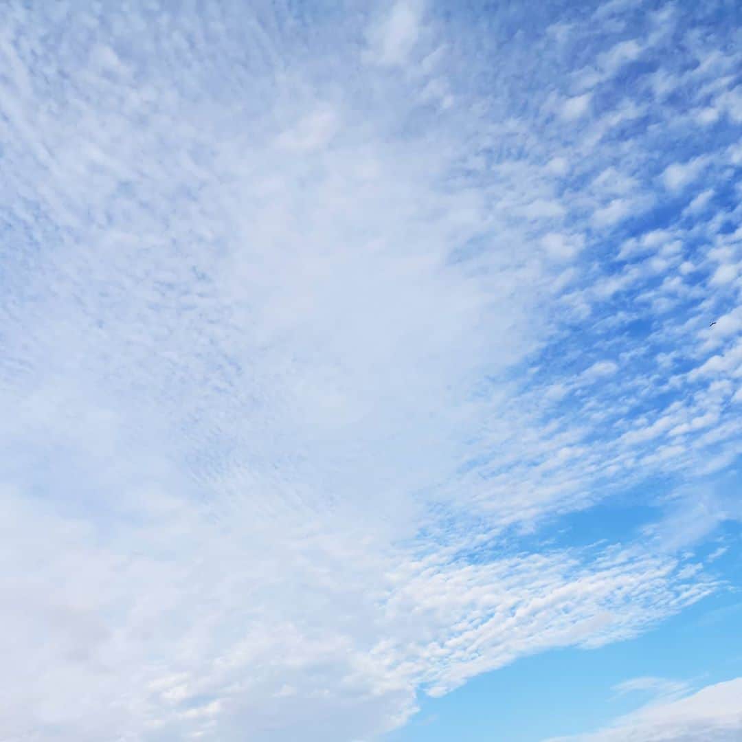 本多真弓さんのインスタグラム写真 - (本多真弓Instagram)「すっかり秋ですね～🌾  #秋の空 #秋の雲」10月16日 15時57分 - mayumi_h_i
